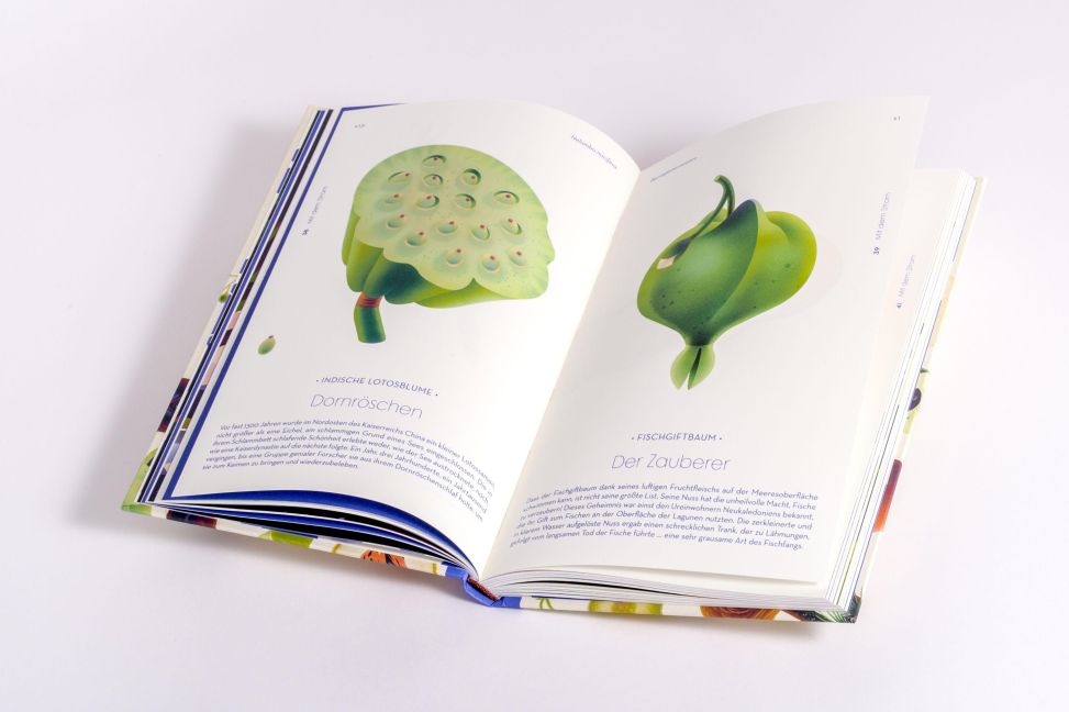 InsideView 11