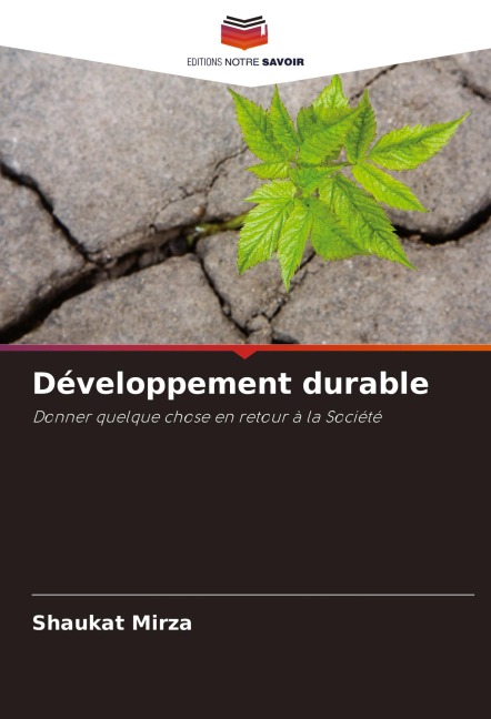 Développement durable - Shaukat Mirza