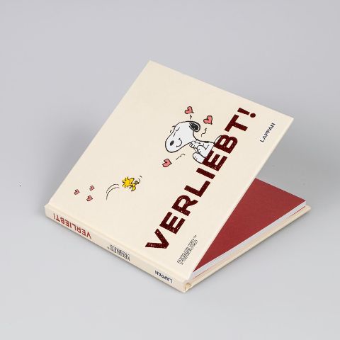 InsideView 2