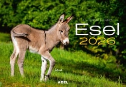 Esel Kalender 2026 - J. -L. Klein, M. -L. Hubert