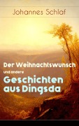 Cover-Bild zum Titel 'Der Weihnachtswunsch und andere Geschichten aus Dingsda' von 'Johannes Schlaf'