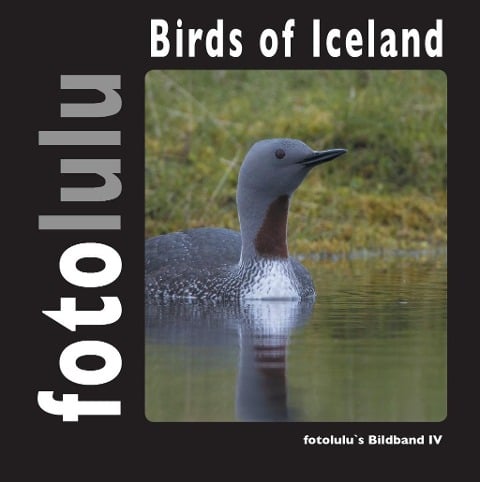Birds of Iceland - Fotolulu