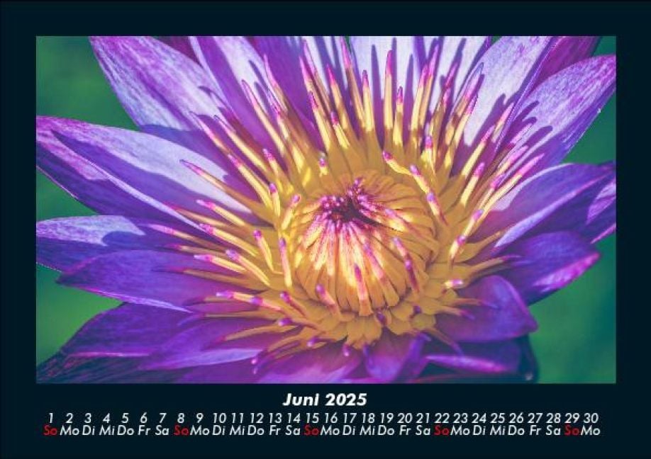 InsideView 10