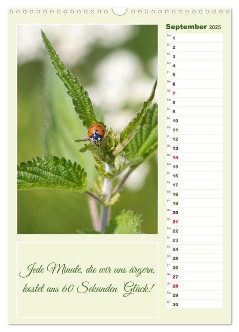 InsideView 14