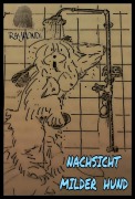 Cover-Bild zum Titel 'NACHSICHT___MILDER___HUND' von 'RAYMONDi'