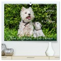 Kobold auf 4 Pfoten - West Highland White Terrier (hochwertiger Premium Wandkalender 2024 DIN A2 quer), Kunstdruck in Hochglanz - Sigrid Starick