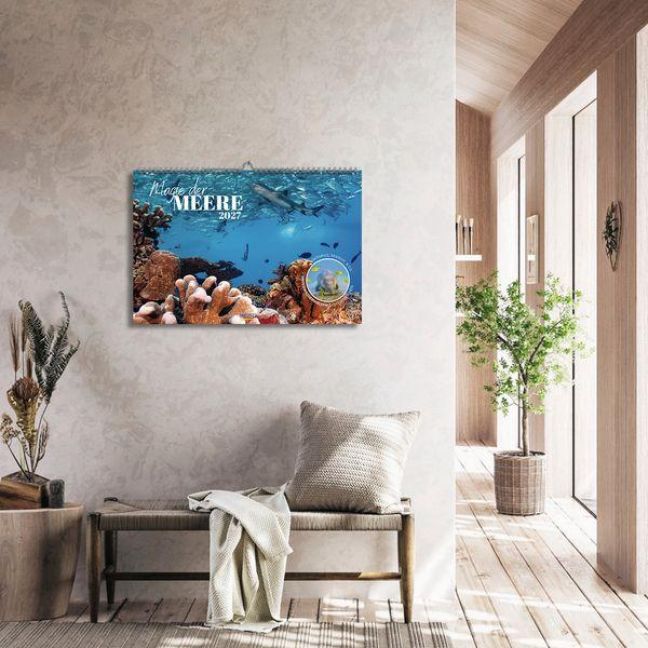 InsideView 14