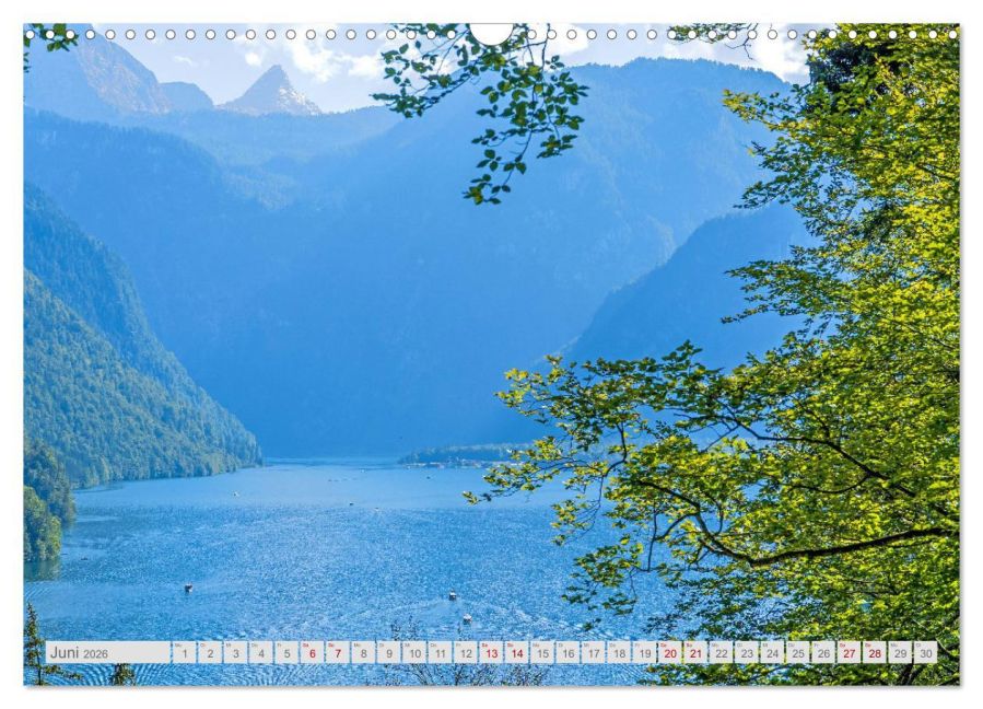 InsideView 11
