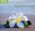 Wellness-Musik zum Wohlfühlen - Various