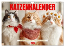 Cover-Bild zum Titel 'Katzenkalender - Süße Katzen begleiten dich durch alle Jahreszeiten (Wandkalender 2026 DIN A4 quer), CALVENDO Monatskalender' von 'Mb Fotografie'
