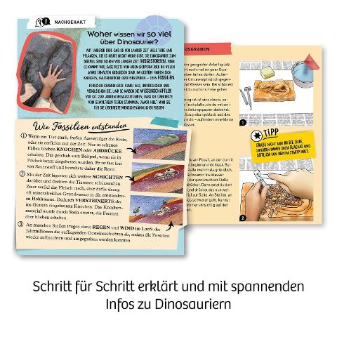 InsideView 4