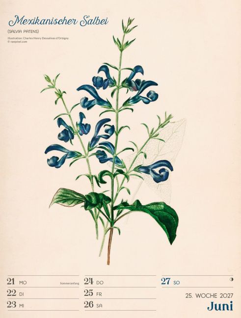 InsideView 29