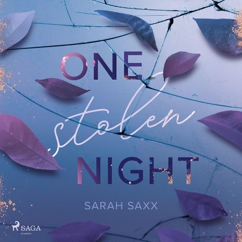 One Stolen Night - Sarah Saxx