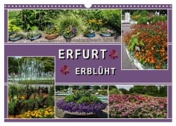 Cover-Bild zum Titel 'Erfurt erblüht (Wandkalender 2026 DIN A3 quer), CALVENDO Monatskalender' von 'Elke Hermann Koch'