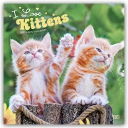 Cover-Bild zum Titel 'I Love Kittens - Ich liebe Katzenbabys 2027 - 16-Monatskalender' von 'Browntrout Publishers'