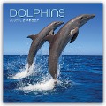 Dolphins - Delfine - Delphine 2025 - 16-Monatskalender - The Gifted Stationery Co. Ltd