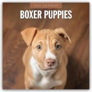 Boxer Puppies - Deutsche Boxer Welpen 2026 - 16-Monatskalender - Robin Red