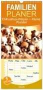 Cover-Bild zum Titel 'Familienplaner 2026 - Chihuahua-Welpen - Kleine Wunder mit 5 Spalten (Wandkalender, 21 x 45 cm) CALVENDO' von 'Marco Warstat'