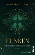 Cover-Bild zum Titel 'Funken - The Secrets of Dracon Rock' von 'Vanessa Golnik'