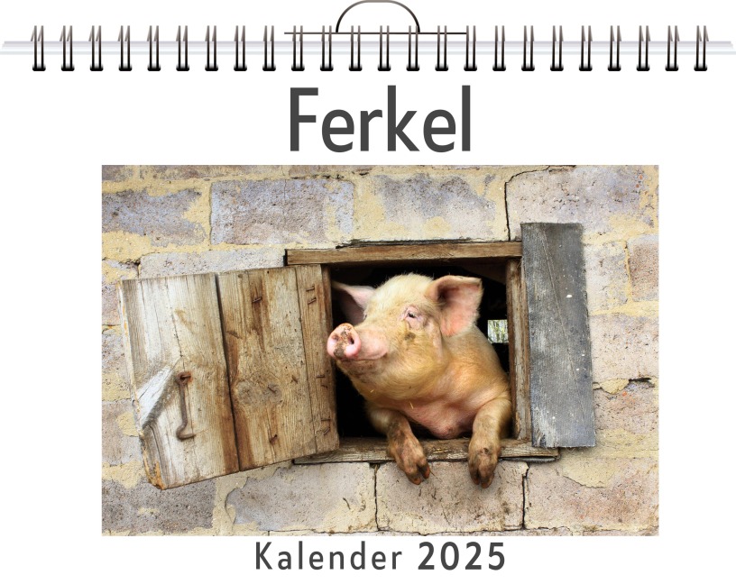 Ferkel - (Wandkalender 2025, Kalender DIN A4 quer, Monatskalender im Querformat mit Kalendarium, das perfekte Geschenk) - Sofia Münch