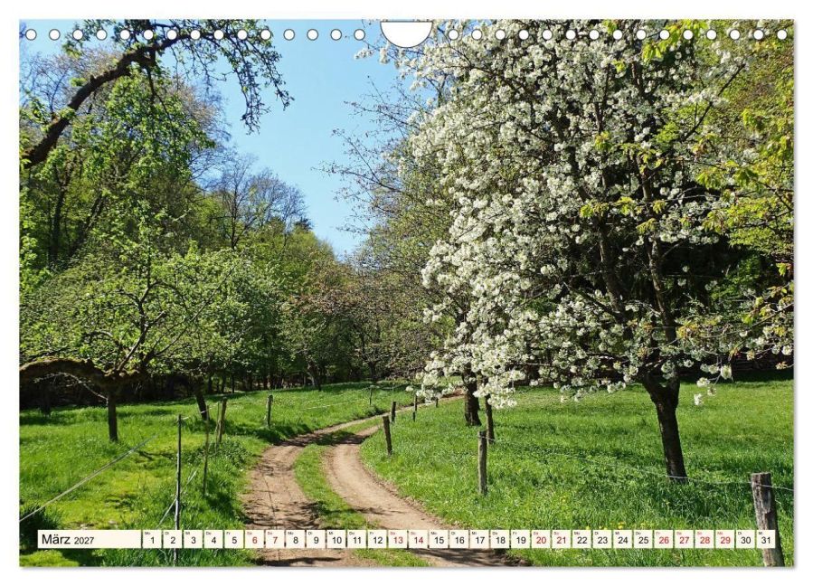 InsideView 8