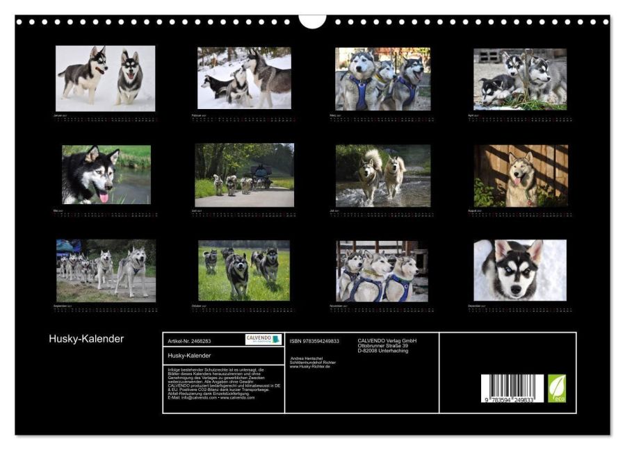 InsideView 5
