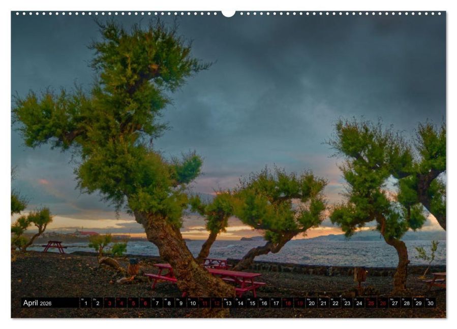 InsideView 8