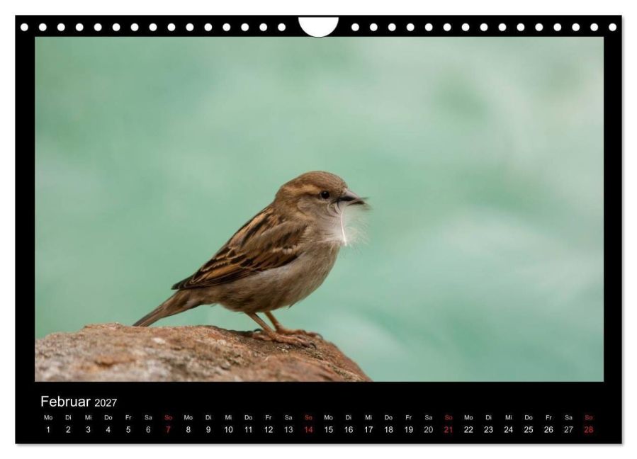 InsideView 4