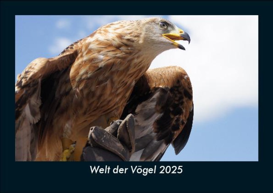 Welt der Vögel 2025 Fotokalender DIN A5 - Tobias Becker