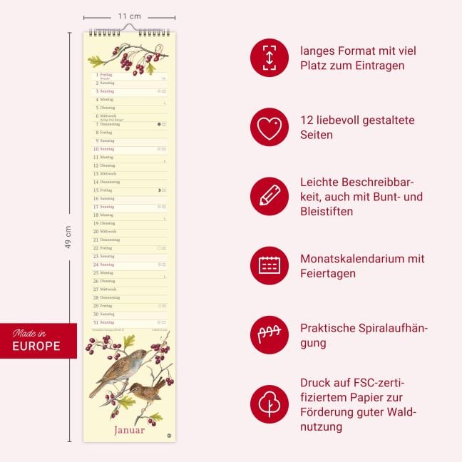 InsideView 13