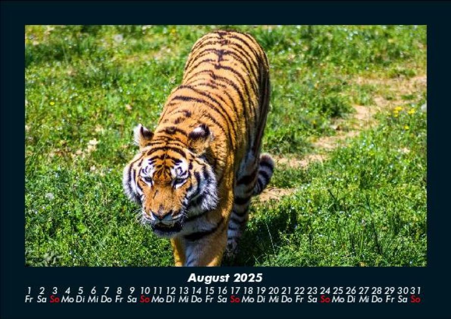 InsideView 12