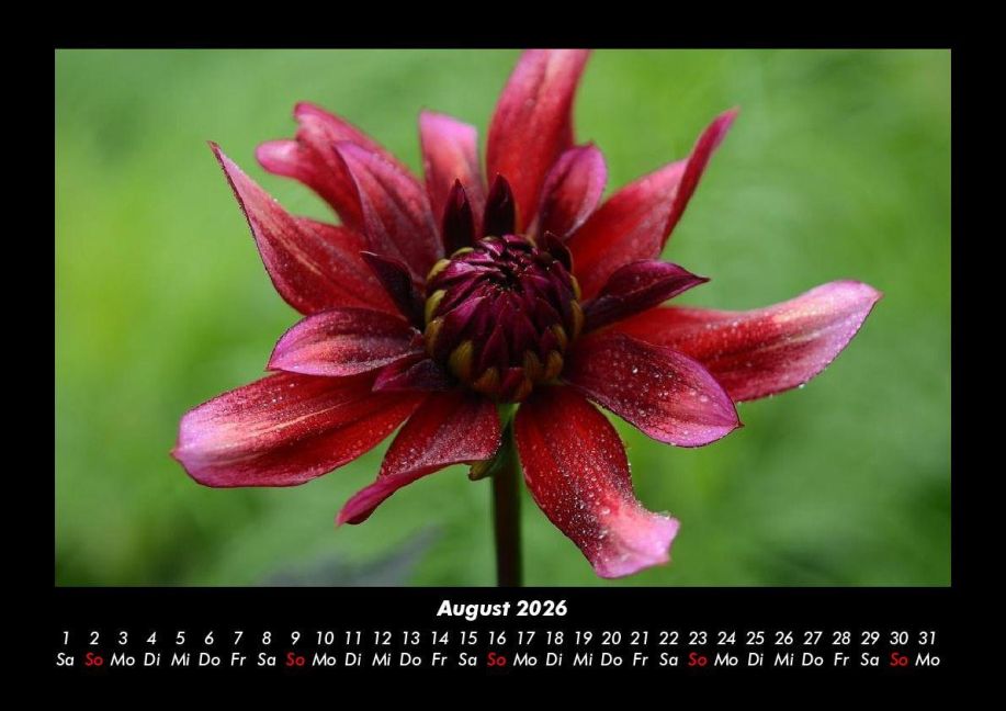 InsideView 12