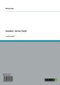 Cover-Bild zum Titel 'Hannibal - Auf der Flucht' von 'Michael Bolz'