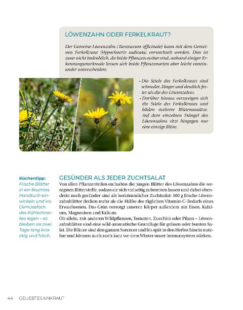 InsideView 15