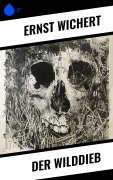 Cover-Bild zum Titel 'Der Wilddieb' von 'Ernst Wichert'