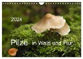 Pilze in Wald und Flur (Wandkalender 2024 DIN A4 quer), CALVENDO Monatskalender - Heinz Pompsch