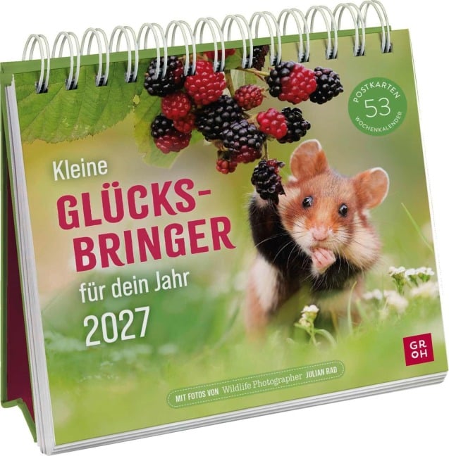 Postkartenkalender 2027: Kleine Glücksbringer für dein Jahr - Julian Rad