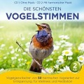 Cover-Bild zum Titel 'Die schönsten Vogelstimmen-Vogelgezwitscher v 50' von 'Naturklang'