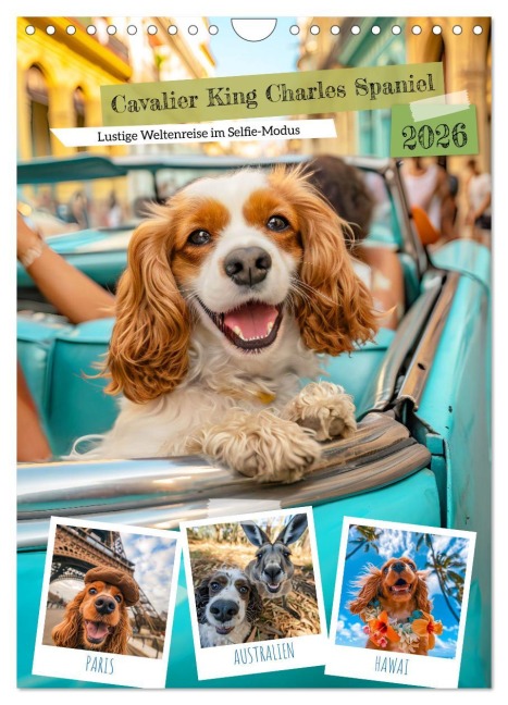 Cavalier King Charles Spaniel - Lustige Weltenreise im Selfie-Modus (Wandkalender 2026 DIN A4 hoch), CALVENDO Monatskalender - Anja Frost