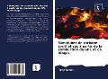 Cover-Bild zum Titel 'Nanotubes de carbone synthétisés à partir de la combustion de GPL et de biogaz' von 'Rajan Kumar'