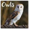 Owls - Eulen 2025 - 16-Monatskalender - Original Avonside-Kalender [Mehrsprachig] [Kalender] - Avonside Publishing Ltd