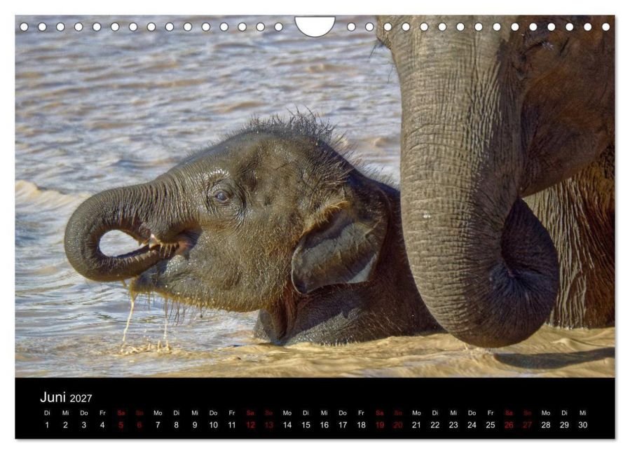 InsideView 11