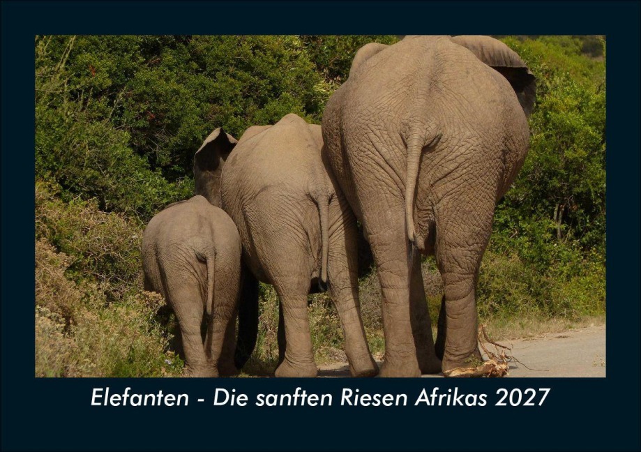 Elefanten - Die sanften Riesen Afrikas 2027 Fotokalender DIN A5 - Tobias Schmitt, Kevin Heber