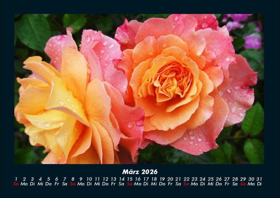 InsideView 7