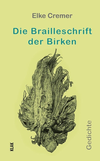 Die Brailleschrift der Birken - Elke Cremer