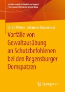 Cover-Bild zum Titel 'Vorfälle von Gewaltausübung an Schutzbefohlenen bei den Regensburger Domspatzen' von 'Johannes Baumeister, Ulrich Weber'