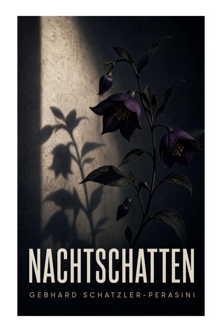 Nachtschatten - Gebhard Schätzler-Perasini