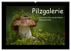 Pilzgalerie - Heimische Pilze aus der Region Rheinland-Pfalz (Wandkalender 2026 DIN A2 quer), CALVENDO Monatskalender - Beate Wurster