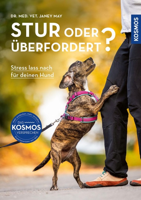 Stur oder überfordert? - Janey May