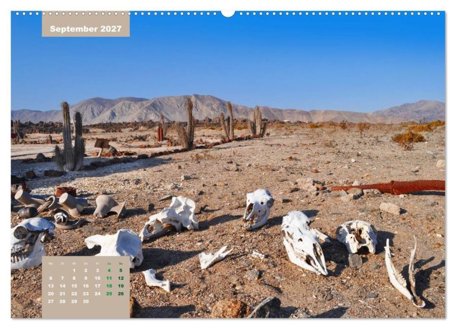 InsideView 13